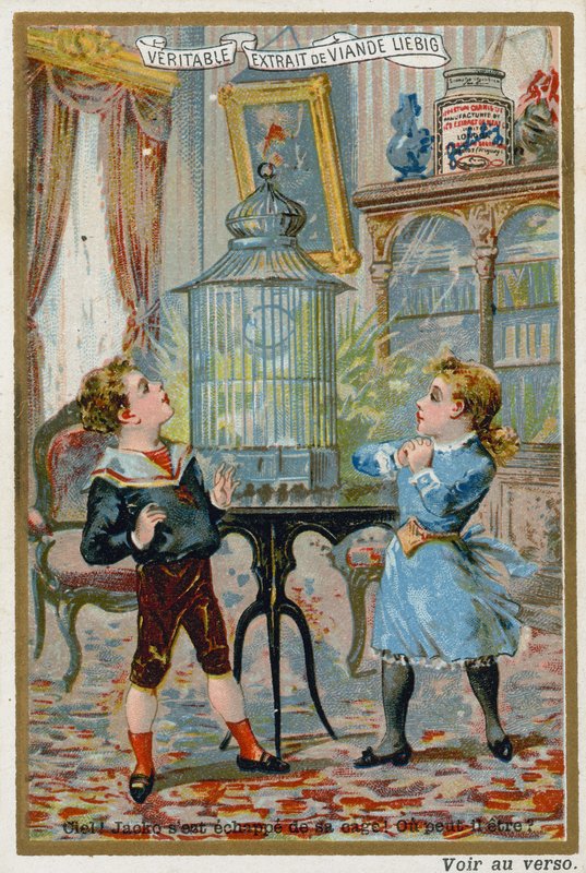 Two children wondering where their pet caged bird has escaped to by European School