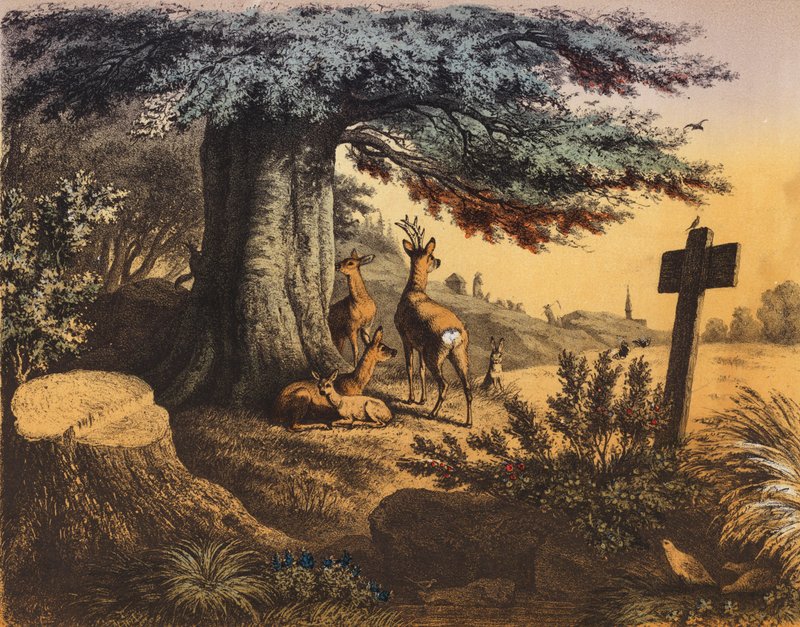 Under the shady Beech are the Squirrel, Roebuck, Does and Fawn by European School