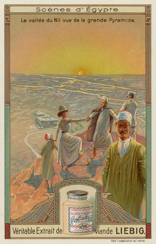 View of the Nile valley from the Great Pyramid by European School