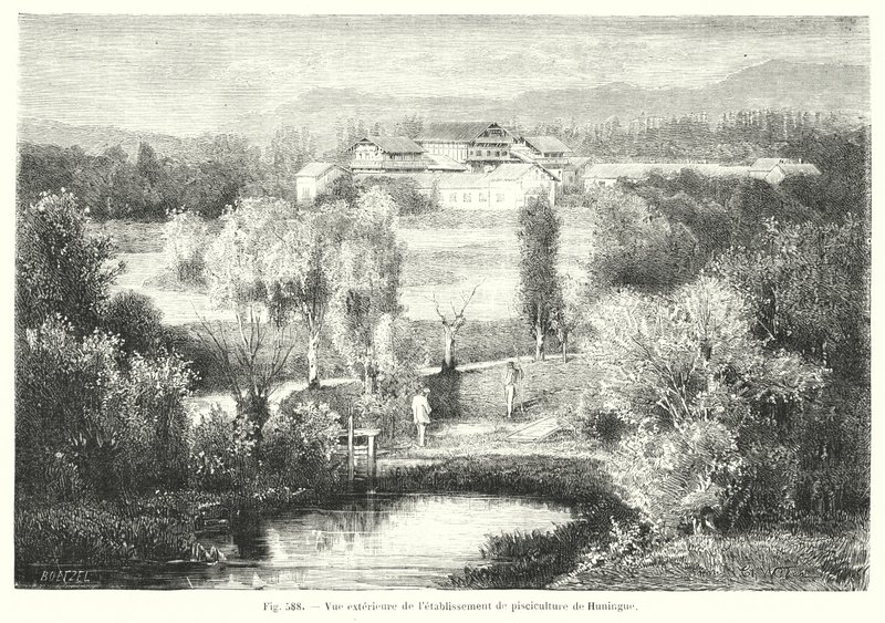 Exterior View of the Fish Farming Establishment of Huningue (engraving) by European School