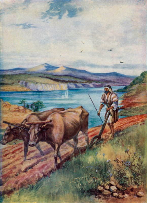 Ploughing in the Land of Jesus by Evelyn Stuart Hardy