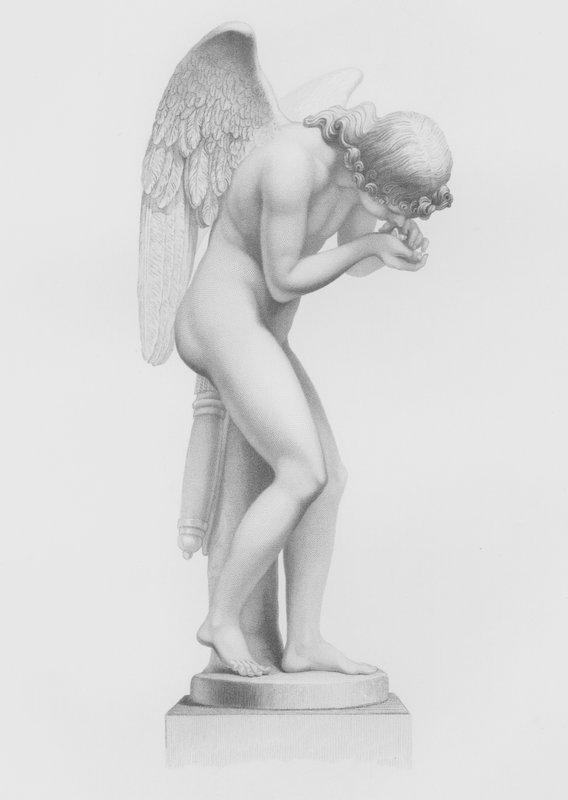 Love Reviving Life, from the statue by Finelli, in the collection of His Grace the Duke of Devonshire, at Chatsworth by F. Roffe