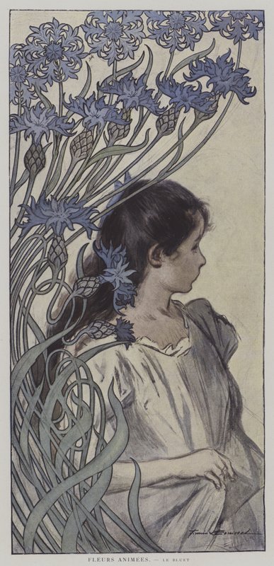 Animated Flowers: the Cornflower (colour litho) by Firmin (after) Bouisset