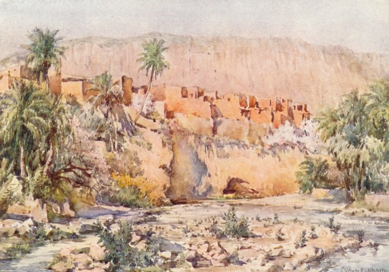In the heart of an Oasis by Frances Nesbitt