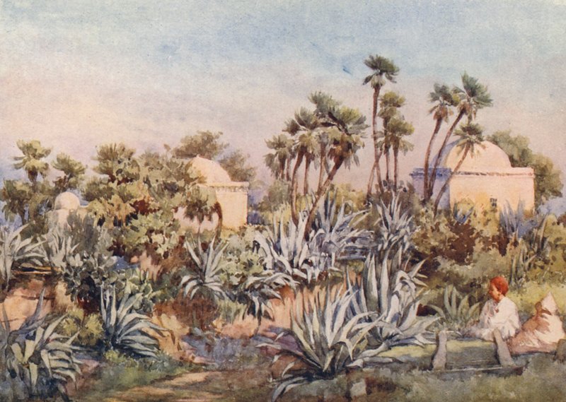 Koubba of Sidi Noumann, Bouzareah by Frances Nesbitt