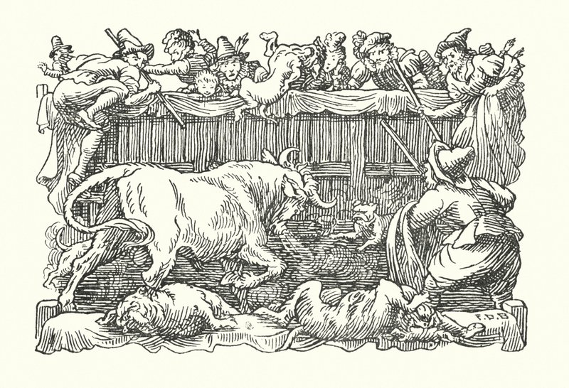 Merrie England: Bull baiting by Francis Donkin Bedford