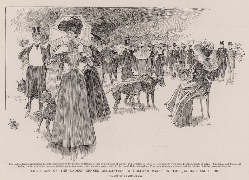 The Show of the Ladies