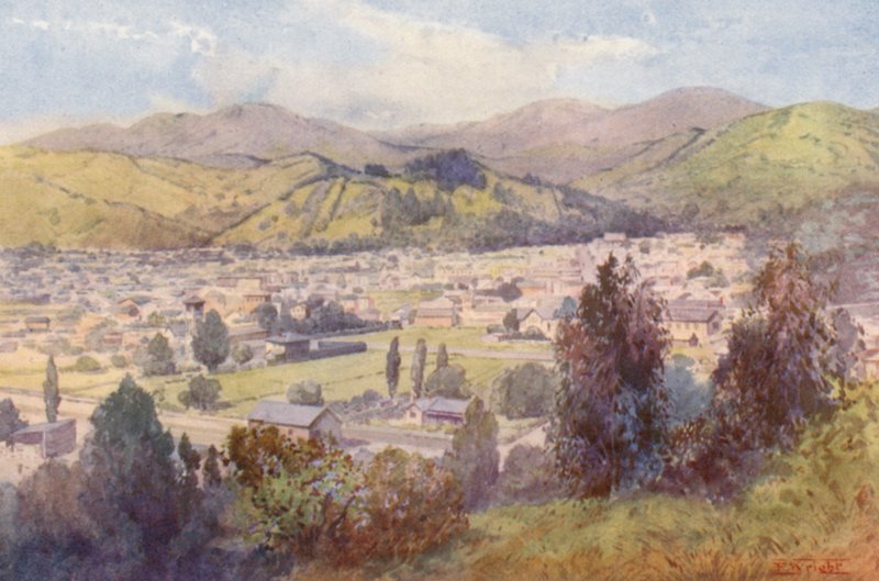 New Zealand: Nelson by Frank H Wright