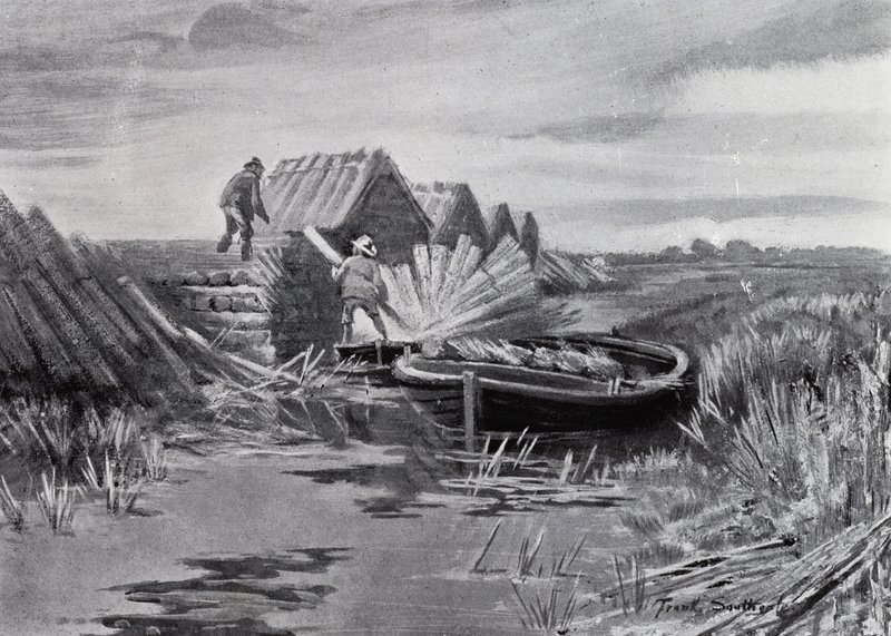 Norfolk Broads: Reed-Stacking by Frank Southgate