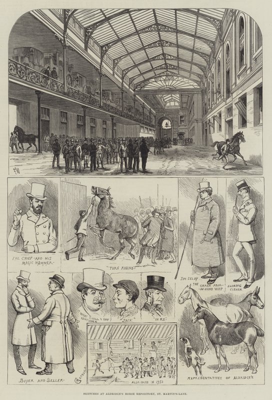 Sketches at Aldridge