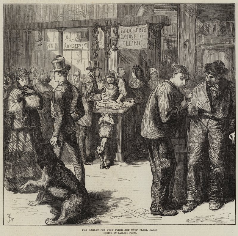 The Market for Dogs