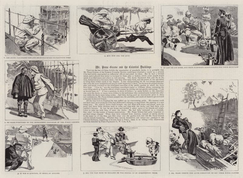 Mr Pease Greene and the Celestial Ducklings by Frederick Henry Townsend