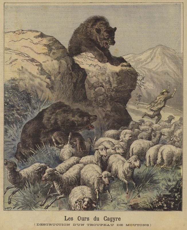 Bears Attacking a Flock of Sheep in the French Pyrenees by French School