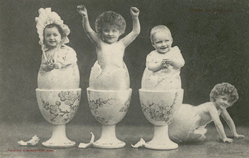 Babies hatching from eggs in eggcups by French Photographer
