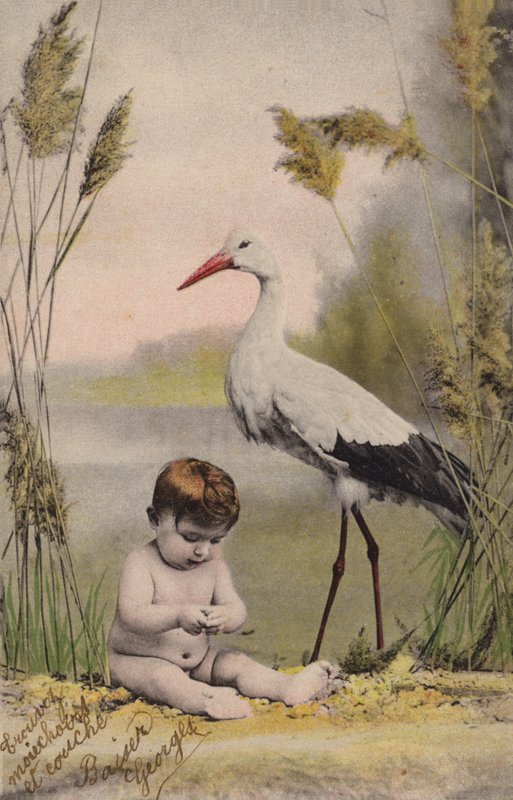 Baby with Stork by French Photographer