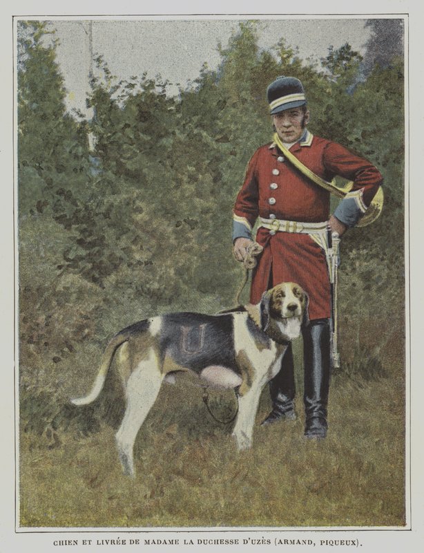 Hound and huntsman in the livery of the hunt of the Duchess of Uzes, France by French Photographer