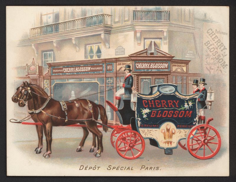 Advertisement for Cherry Blossom perfume by French School
