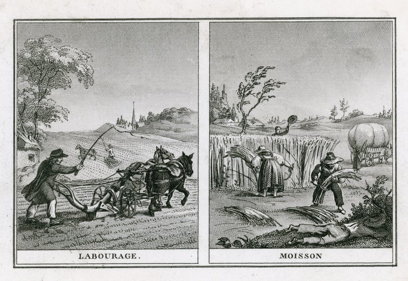 Agricultural scenes of ploughing and harvesting by French School