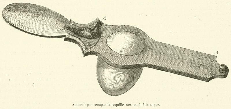 Device for cutting the shell of soft-boiled eggs (engraving) by French School