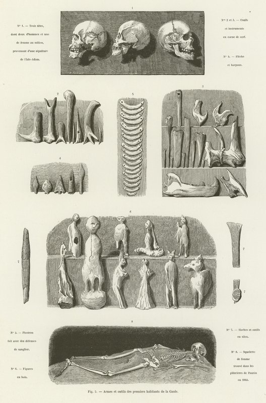 Weapons and Tools of the First Inhabitants of Gaul by French School