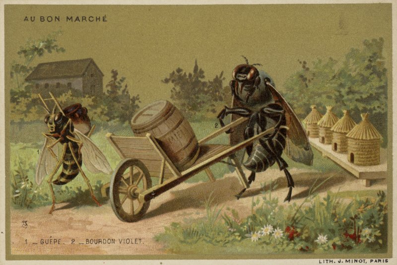 Au Bon Marche cards featuring anthropomorphic insects by French School