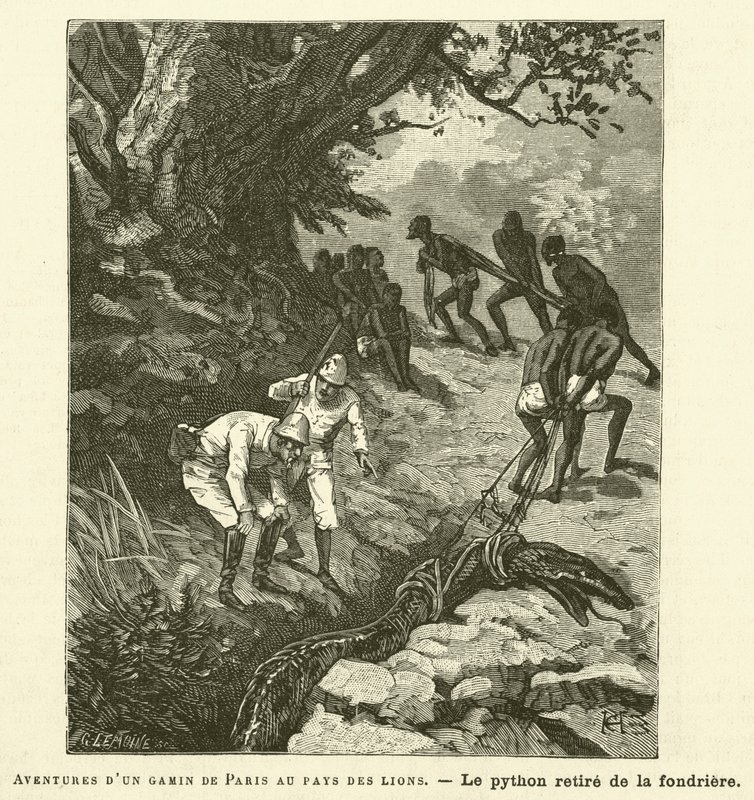 Adventures of a Parisian Kid in the Land of Lions (engraving) by French School