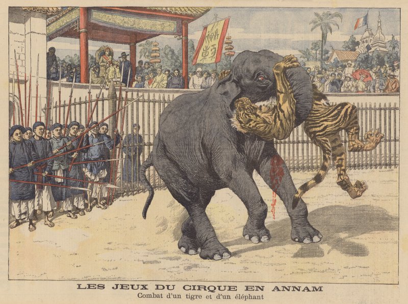 Battle Between an Elephant and a Tiger in a Circus in Annam, Indochina by French School