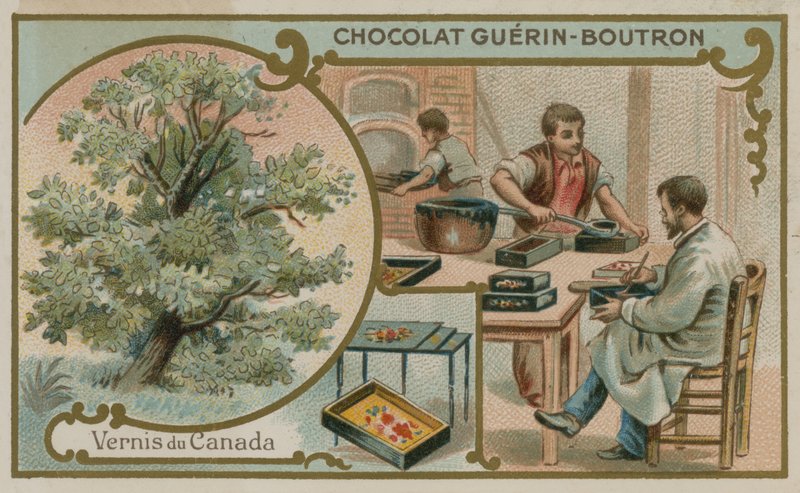 Canadian Varnish by French School