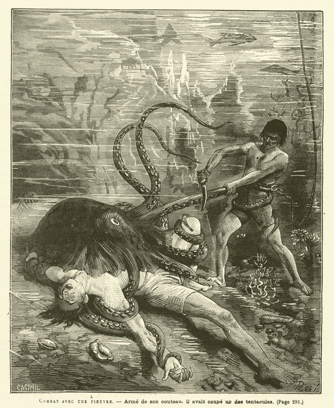 Fight with an Octopus (engraving) by French School