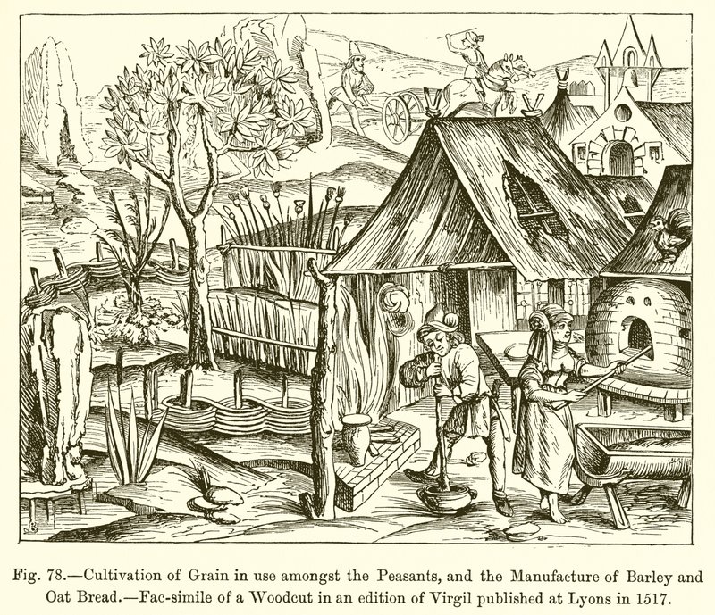 Cultivation of Grain in Use Amongst the Peasants, and the Manufacture of Barley and Oat Bread by French School