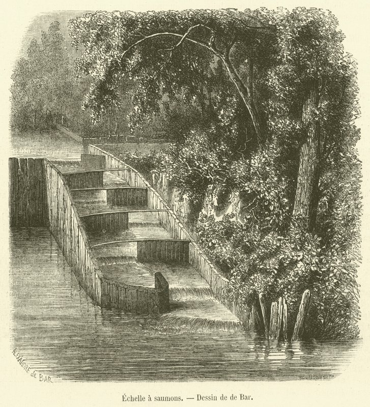 Salmon ladder by French School
