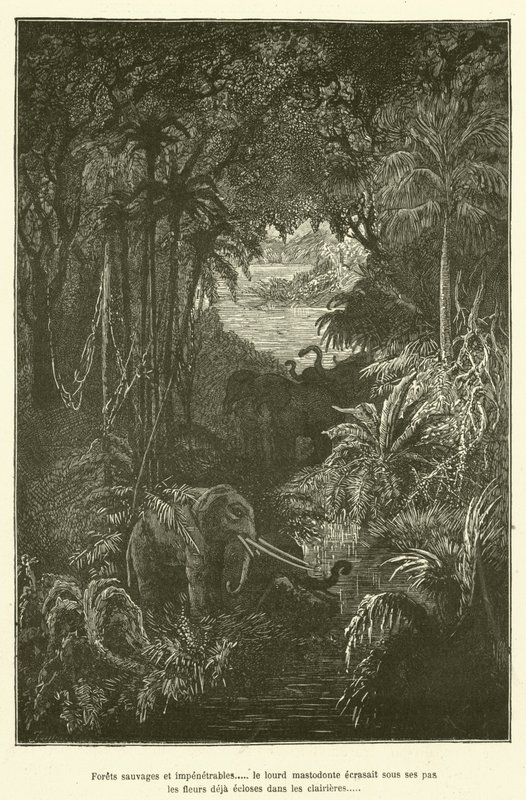 Wild and Impenetrable Forests... the Heavy Mastodon Crushed Under Its Steps the Flowers Already Blooming in the Clearings by French School