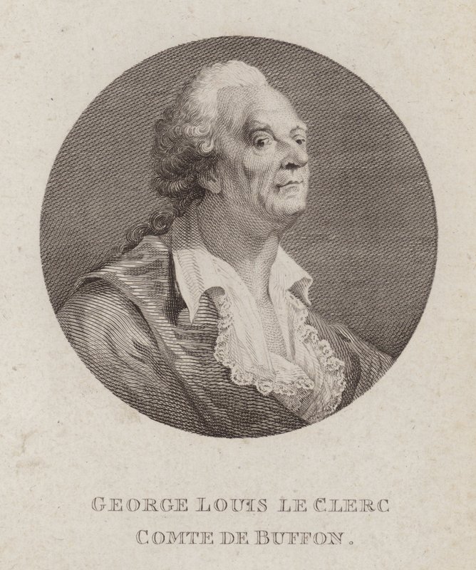 Georges-Louis Leclerc, Comte de Buffon, French naturalist by French School