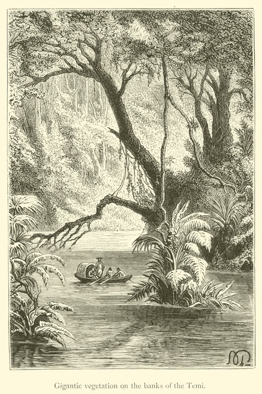 Gigantic Vegetation on the Banks of the Temi (engraving) by French School
