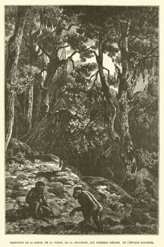 Inhabitants of Greece, Switzerland, and Provence in the Early Pliocene Epoch by French School