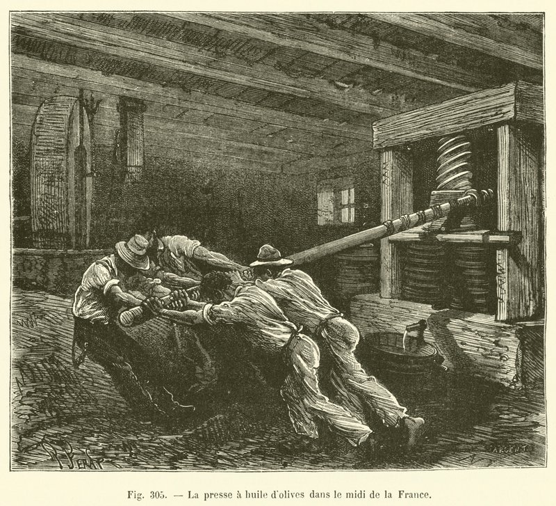The Olive Oil Press in the South of France by French School