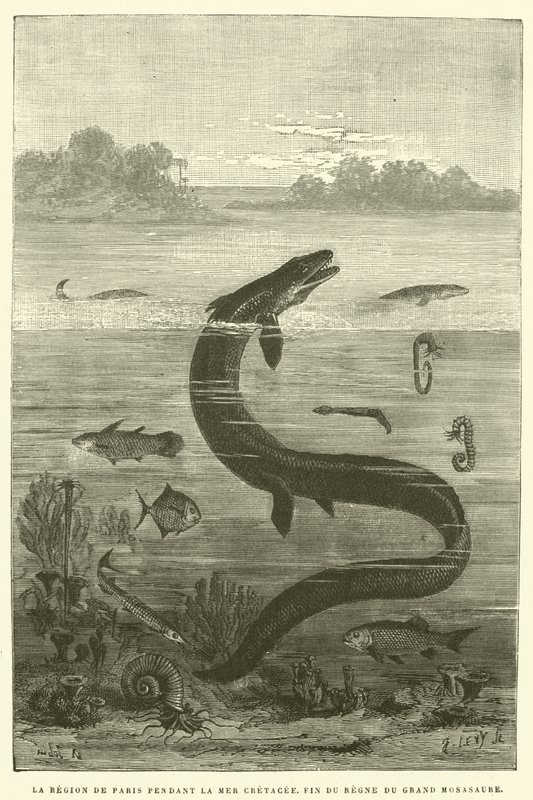 The Region of Paris During the Cretaceous Sea, End of the Reign of the Great Mosasaur by French School