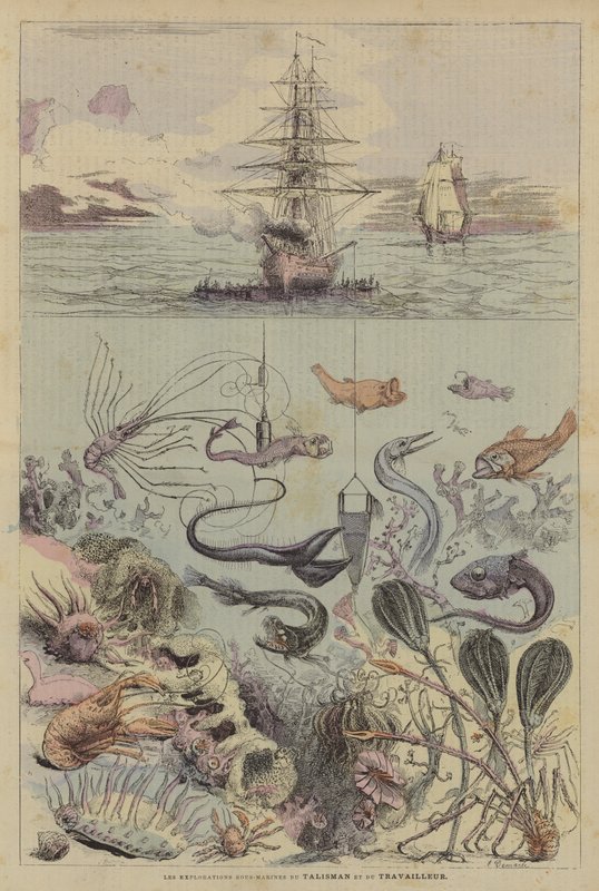 Les Explorations Sous-Marines Du Talisman Et Du Travailleur by French School