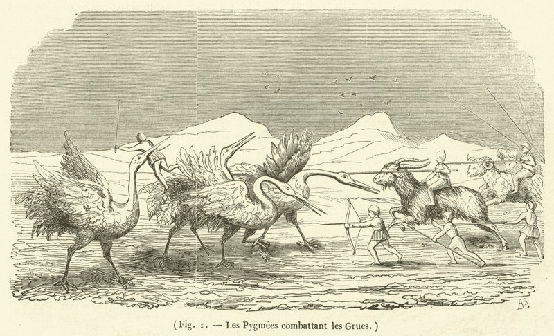 The Pygmies Fighting the Cranes by French School