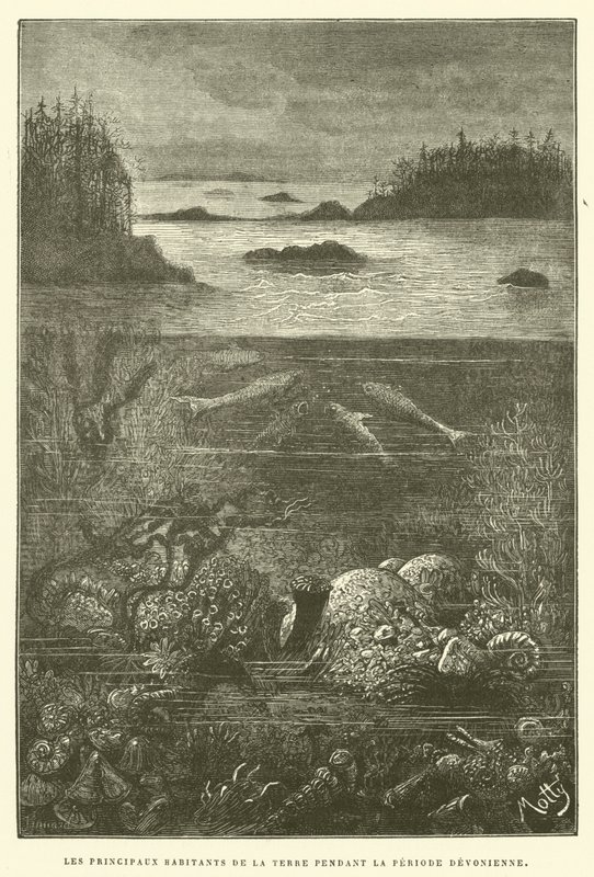 The Principal Inhabitants of the Earth During the Devonian Period by French School