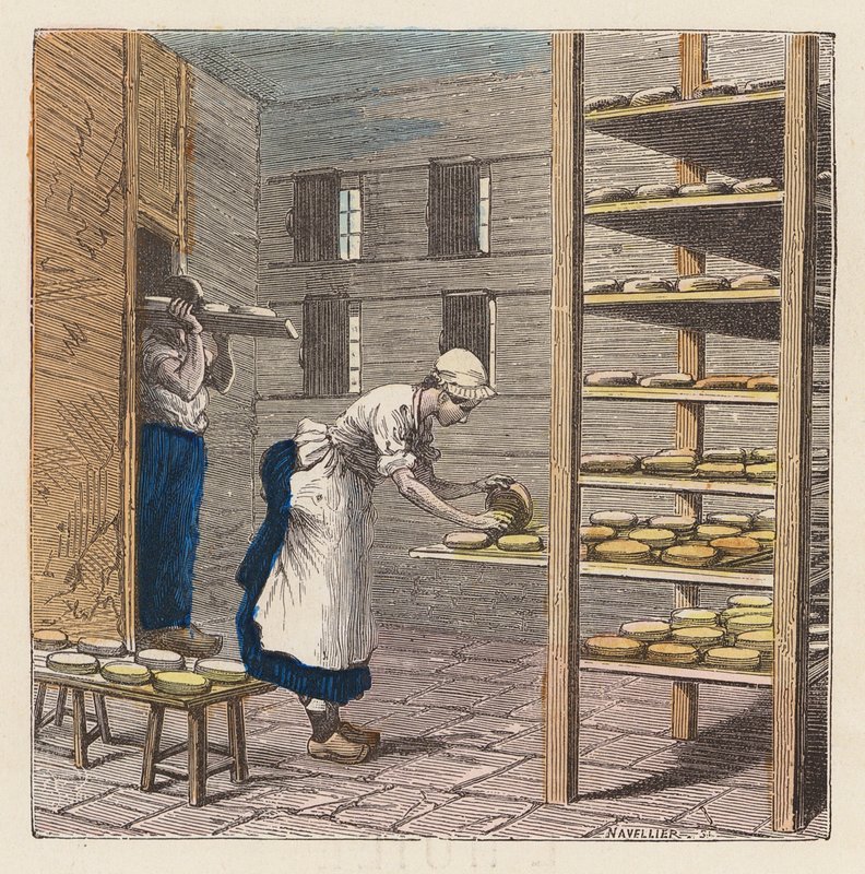 Making cheese by French School
