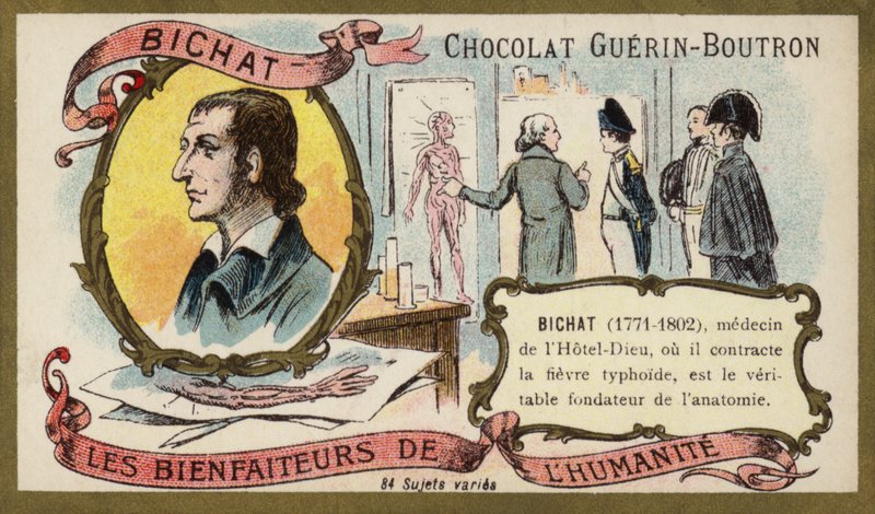 Marie Francois Xavier Bichat, French physiologist and anatomist by French School