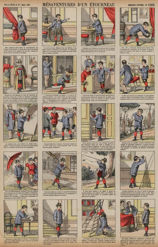 Misadventures of a Starling by French School