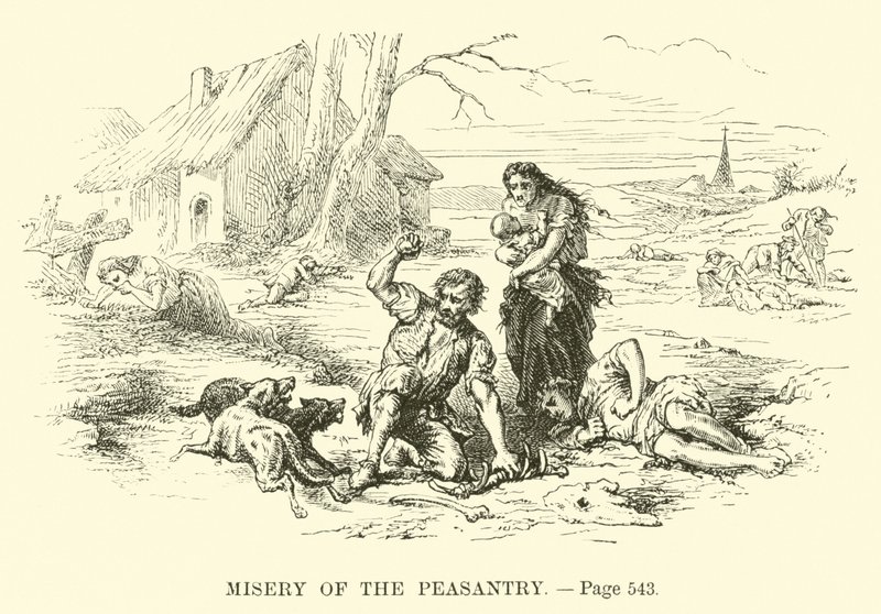 Misery of the Peasantry by French School