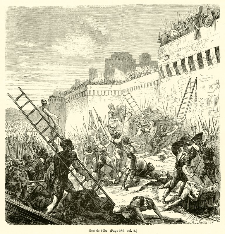 Death of Sheba by French School