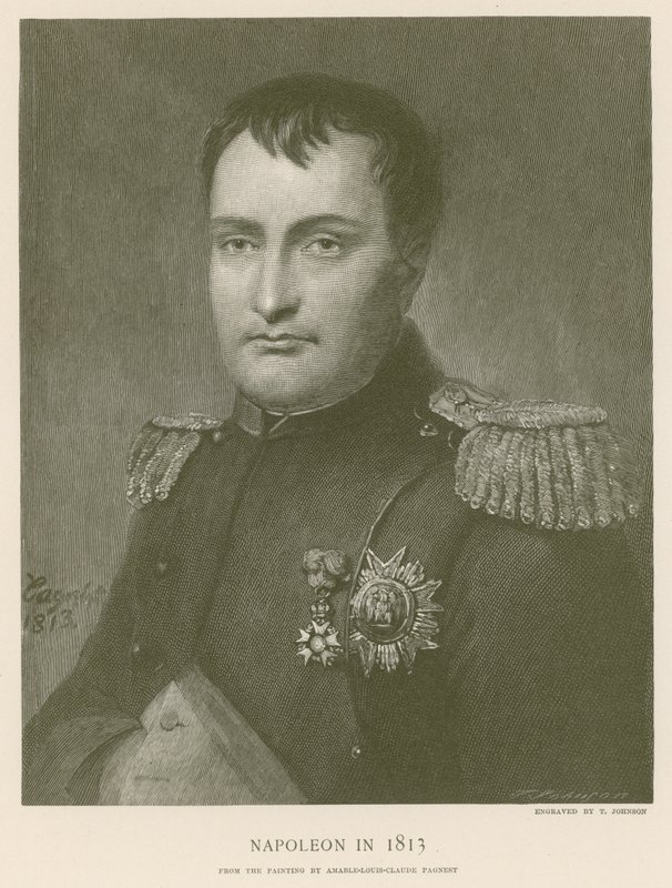 Napoleon in 1813 by French School
