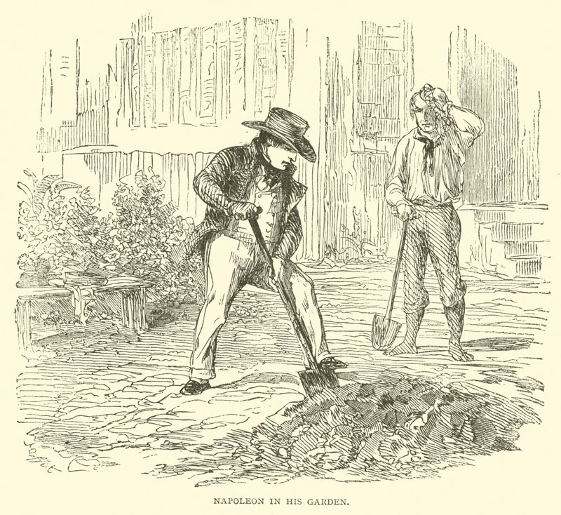 Napoleon in His Garden by French School