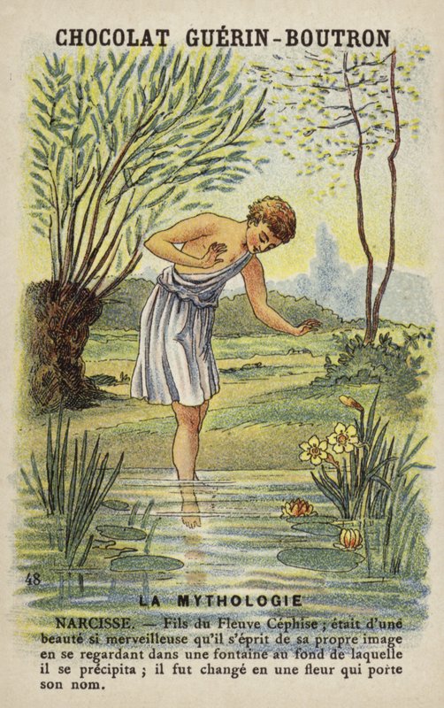Narcissus by French School