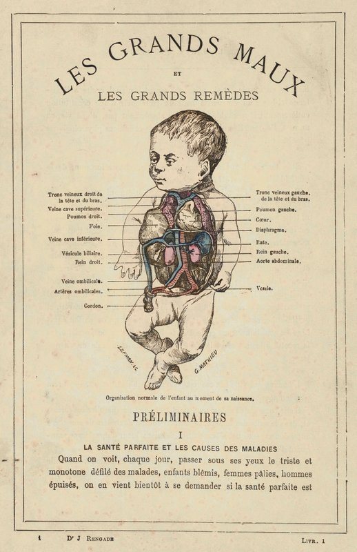 Normal organization of the child at the time of birth by French School