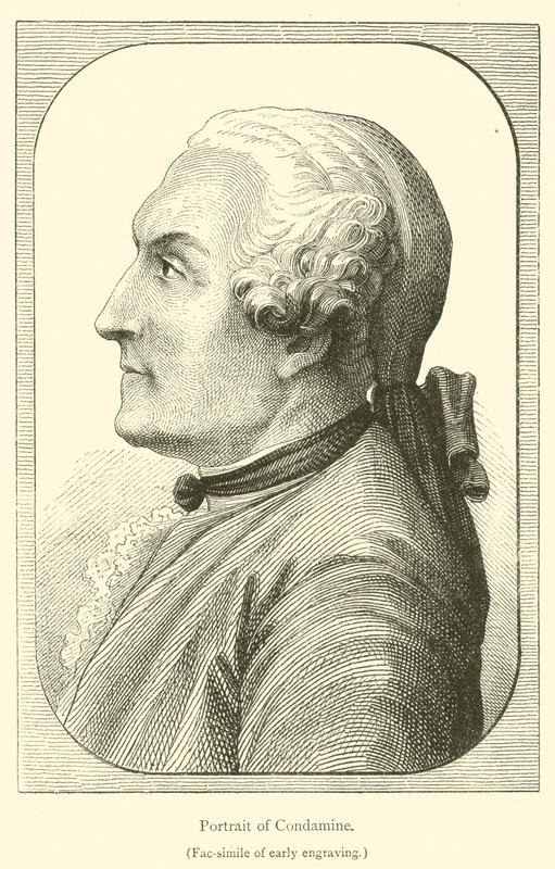 Portrait of Condamine by French School